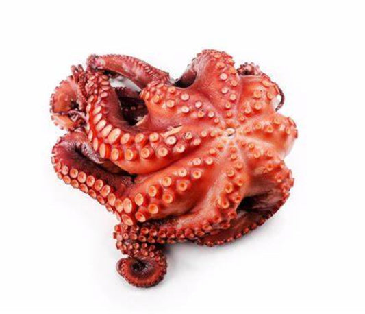 Pulpo cocido del norte